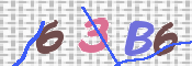 To prevent spam, please prove you are a real person by typing the characters you see in this box into the box below.