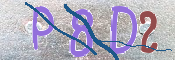 To prevent spam, please prove you are a real person by typing the characters you see in this box into the box below.