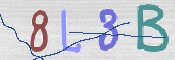 To prevent spam, please prove you are a real person by typing the characters you see in this box into the box below.