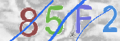 To prevent spam, please prove you are a real person by typing the characters you see in this box into the box below.