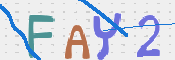 To prevent spam, please prove you are a real person by typing the characters you see in this box into the box below.