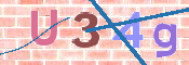 To prevent spam, please prove you are a real person by typing the characters you see in this box into the box below.