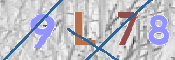 To prevent spam, please prove you are a real person by typing the characters you see in this box into the box below.