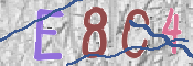To prevent spam, please prove you are a real person by typing the characters you see in this box into the box below.