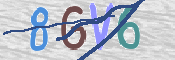 To prevent spam, please prove you are a real person by typing the characters you see in this box into the box below.