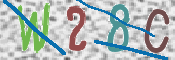 To prevent spam, please prove you are a real person by typing the characters you see in this box into the box below.