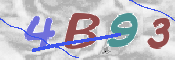To prevent spam, please prove you are a real person by typing the characters you see in this box into the box below.