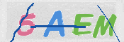 To prevent spam, please prove you are a real person by typing the characters you see in this box into the box below.