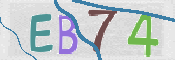 To prevent spam, please prove you are a real person by typing the characters you see in this box into the box below.