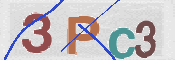 To prevent spam, please prove you are a real person by typing the characters you see in this box into the box below.