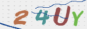 To prevent spam, please prove you are a real person by typing the characters you see in this box into the box below.