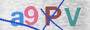 To prevent spam, please prove you are a real person by typing the characters you see in this box into the box below.