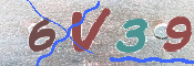 To prevent spam, please prove you are a real person by typing the characters you see in this box into the box below.