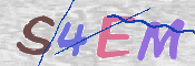 To prevent spam, please prove you are a real person by typing the characters you see in this box into the box below.