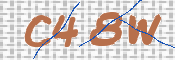 To prevent spam, please prove you are a real person by typing the characters you see in this box into the box below.