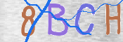 To prevent spam, please prove you are a real person by typing the characters you see in this box into the box below.