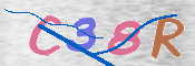 To prevent spam, please prove you are a real person by typing the characters you see in this box into the box below.