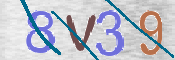 To prevent spam, please prove you are a real person by typing the characters you see in this box into the box below.
