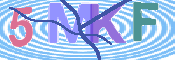 To prevent spam, please prove you are a real person by typing the characters you see in this box into the box below.