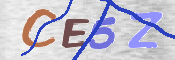 To prevent spam, please prove you are a real person by typing the characters you see in this box into the box below.