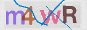 To prevent spam, please prove you are a real person by typing the characters you see in this box into the box below.