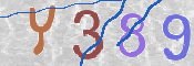 To prevent spam, please prove you are a real person by typing the characters you see in this box into the box below.