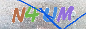 To prevent spam, please prove you are a real person by typing the characters you see in this box into the box below.