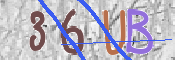 To prevent spam, please prove you are a real person by typing the characters you see in this box into the box below.