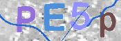 To prevent spam, please prove you are a real person by typing the characters you see in this box into the box below.