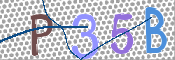 To prevent spam, please prove you are a real person by typing the characters you see in this box into the box below.