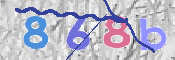 To prevent spam, please prove you are a real person by typing the characters you see in this box into the box below.