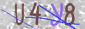 To prevent spam, please prove you are a real person by typing the characters you see in this box into the box below.