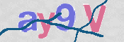 To prevent spam, please prove you are a real person by typing the characters you see in this box into the box below.
