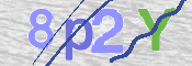 To prevent spam, please prove you are a real person by typing the characters you see in this box into the box below.