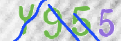 To prevent spam, please prove you are a real person by typing the characters you see in this box into the box below.
