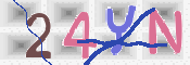 To prevent spam, please prove you are a real person by typing the characters you see in this box into the box below.