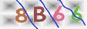 To prevent spam, please prove you are a real person by typing the characters you see in this box into the box below.