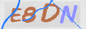 To prevent spam, please prove you are a real person by typing the characters you see in this box into the box below.