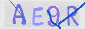 To prevent spam, please prove you are a real person by typing the characters you see in this box into the box below.