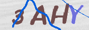To prevent spam, please prove you are a real person by typing the characters you see in this box into the box below.