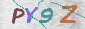 To prevent spam, please prove you are a real person by typing the characters you see in this box into the box below.