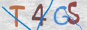 To prevent spam, please prove you are a real person by typing the characters you see in this box into the box below.