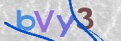 To prevent spam, please prove you are a real person by typing the characters you see in this box into the box below.