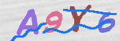 To prevent spam, please prove you are a real person by typing the characters you see in this box into the box below.