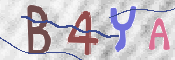 To prevent spam, please prove you are a real person by typing the characters you see in this box into the box below.