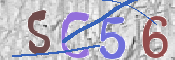 To prevent spam, please prove you are a real person by typing the characters you see in this box into the box below.