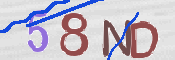 To prevent spam, please prove you are a real person by typing the characters you see in this box into the box below.