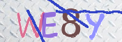To prevent spam, please prove you are a real person by typing the characters you see in this box into the box below.