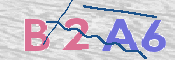 To prevent spam, please prove you are a real person by typing the characters you see in this box into the box below.