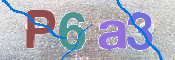To prevent spam, please prove you are a real person by typing the characters you see in this box into the box below.